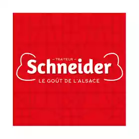 Logo Schneider